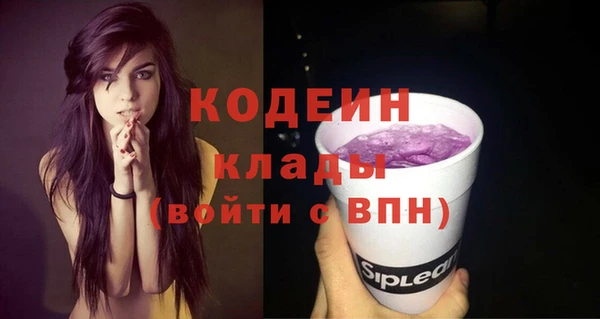 мяу мяу мука Каменка