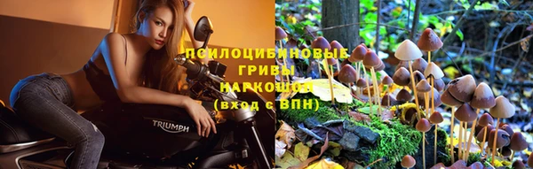 метадон Каменск-Шахтинский