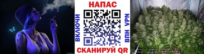 Канабис OG Kush  Купить закладки  Валдай 